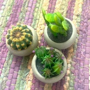 Three Deco 🪴 Plants